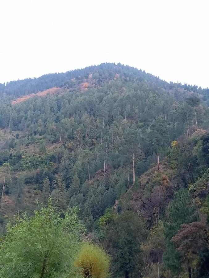 Rrr Resorts Tirthan Valley By Rrr Hotels & Resorts Banjar Экстерьер фото
